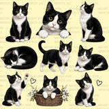 Cat Clipart Bundle | 50+ Kitten PNG Designs (Digital Download)