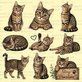 Cat Clipart Bundle | 50+ Kitten PNG Designs (Digital Download)