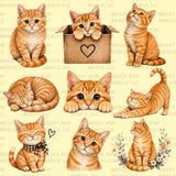 Cat Clipart Bundle | 50+ Kitten PNG Designs (Digital Download)